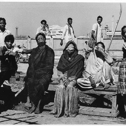 1984 Bhopal gas disaster Animal's people