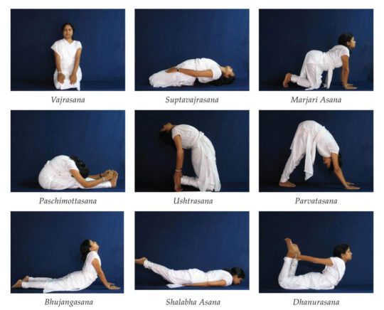 Yoga poses for practice at home